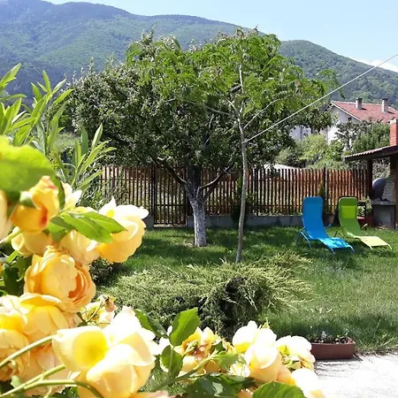 Vessyta