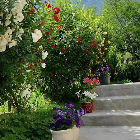 בית הארחה Vessyta